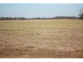 Property photo 11 - REAL ESTATE AUCTION - 486+/- ACRES OFFERED IN 9 TRACTS IN MORGAN & MARION COUNTIES, INDIANA